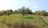 Trail On foot Nieste - Nieste - Fuhrmannstein - Photo 10