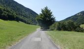 Randonnée Marche Châtillon-en-Diois - La Montagnette par le Pas de la Plane (Combau) - Photo 14