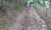 Trail Horseback riding Saint-Félicien - rochefort version longue - Photo 4