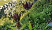 Trail Walking Sainte-Foy-Tarentaise - col de Monseti et lac Noir - Photo 4