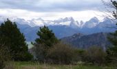 Trail On foot Lus-la-Croix-Haute - 2024-04-15_L'Aupillon - Photo 4