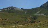 Randonnée Marche La Plagne-Tarentaise - Le col du Suchet retour les Frasses - Photo 9