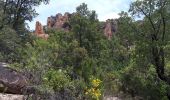 Tour Wandern Le Muy - Massif du Rouet-21-05-21 - Photo 8