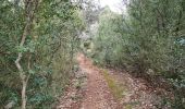 Trail Walking Corconne - Corconne-vache-morte - Photo 13