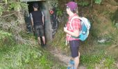 Trail Walking Grandfontaine - Positions fortifiées du Donon sentier des casemates - sud - Photo 19