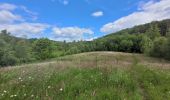 Tocht Stappen Gedinne - rando bourseigne vieille 15-06-2024 - Photo 2