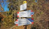Tour Zu Fuß Väris - Sentiero 7/307: Campo dei Fiori - Punta di Mezzo - Photo 5
