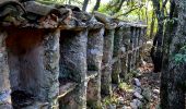 Trail Walking Solliès-Toucas - Valaury - Apier - Matheron - Photo 12