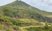 Randonnée Marche Lavigerie - Col de serre - enlacement - Photo 5