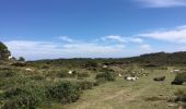 Trail Walking Cadaqués - Port Lligat Rabassers - Photo 3