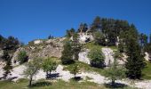 Randonnée Marche Châtillon-en-Diois - Cirque d'Archiane - Les Hauts Plateaux du Vercors - Photo 18