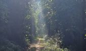 Trail Walking Heers - Wikiloc Hornebos  (PVDB) - Photo 5