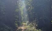 Tour Wandern Heers - Wikiloc Hornebos  (PVDB) - Photo 5
