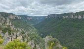 Trail Walking Saint-Pierre-des-Tripiers - 21 06 07 Les corniches de la Jonte et du Tarn - Photo 11