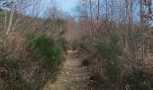 Tocht Stappen Limburg - A la découverte de Limbourg  - Photo 16