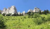 Tocht Stappen Chichilianne - Autour du mont Aiguille - Photo 8