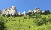 Randonnée Marche Chichilianne - Autour du mont Aiguille - Photo 8