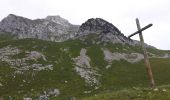 Tocht Stappen Plancherine - chalet de Drison à nant fourchu  - Photo 3