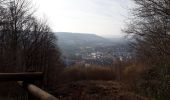 Trail Walking Roncherolles-sur-le-Vivier - 20250218-roncherolles - Photo 1