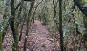 Trail Walking Fons-sur-Lussan - Serre de Fons - Photo 4