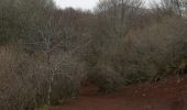 Randonnée A pied Ceyssat - Le Puy de Dôme - Photo 3