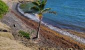 Tour Wandern Le Vauclin - 2eme parcours de la pointe du vauclin et trou cochon  - Photo 11