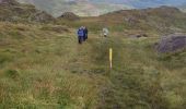 Trail Walking West Cork - Glengarriff - Ardrigole - Photo 10