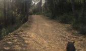 Trail Walking Valbonne - Les clausonnes 16 02 2020 - Photo 1