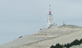 Trail Electric bike Sault - le mont Ventoux  - Photo 10