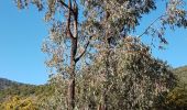 Excursión Senderismo Roquebrune-sur-Argens - ROQUEBRUNE SUR ARGENS - A L'OUEST DE LA FLUTE - Photo 3