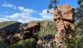 Randonnée Marche Bagnols-en-Forêt - Crête Diaou et gorges du Blavet - Photo 18