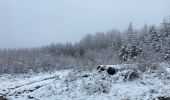 Trail Walking Vielsalm - Ville du Bois  - Photo 3