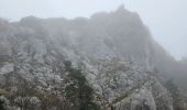 Trail Walking Plan-d'Aups-Sainte-Baume - Sainte Baume dans le brouillard 01-03-2025 - Photo 8