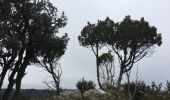 Trail Walking Bize-Minervois - Montredon / Combebelle-le-haut - Photo 3