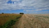 Tocht Stappen Auzouer-en-Touraine - Auzouer-en-Touraine - Circuit Bec Sec variante - 18.4km 220m 4h10 (30mn) - 2022 09 06 - Photo 1