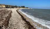 Tocht Stappen La Flotte - Île de Ré  la flotte - Photo 15