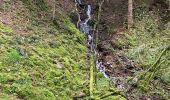 Tocht  Gérardmer - Bourrique, tour et cascade de Merelle - Photo 14