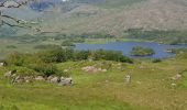 Percorso Macchina Kenmare Municipal District - 190704Fergus - Photo 2