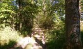 Trail Walking Saché - Saché - Goupillières - 14.8km 185m 3h40 - 2022 07 10 - Photo 8