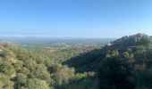 Tour Wandern Laroque-des-Albères - RP66 LAROQUE VALLÉE HEUREUSE SOREDE.  - Photo 4