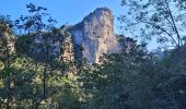 Tour Wandern Labastide-de-Virac - les gorges de l'Ardèche  - Photo 1