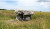 Randonnée Marche Plomodiern - Autour de Ste Marie du Ménez Hom - Photo 1