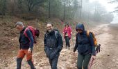 Randonnée Marche Fozières - Fauzieres jolie balade, fangouze, belle montée et retour dans la foret - Photo 11
