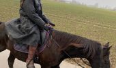 Trail Horseback riding Pecq - warcoing - Photo 2