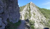 Tocht Stappen Senez - SENEZ , clue de la Melle. , chapelle  de la Melle ,  o s - Photo 9