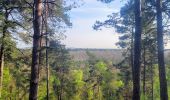 Randonnée A pied Fontainebleau - Fontainebleau - Moret - Montigny - Photo 9
