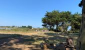 Tocht Stappen Unknown - Tour du golfe du Morbihan  - Photo 8