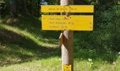 Tocht Stappen Breil-sur-Roya - col de brouis - Photo 6