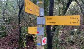 Trail Walking Le Barroux - Les Barroux Pas du Loup - Photo 2