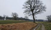 Tour Wandern Malmedy - Bévercé- vallée de la Warchenne - Chôdes  - Photo 8